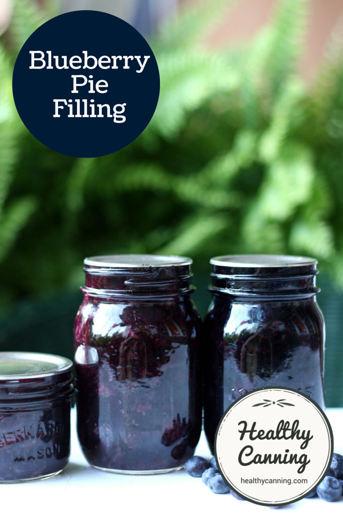 Blueberry Pie Filling 004