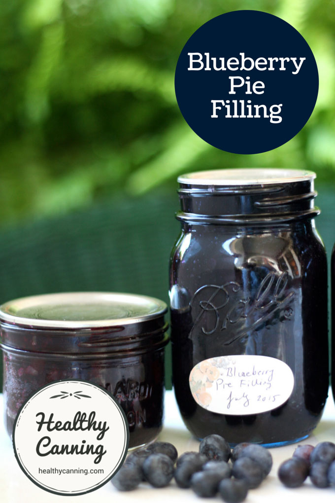 Blueberry Pie Filling 005