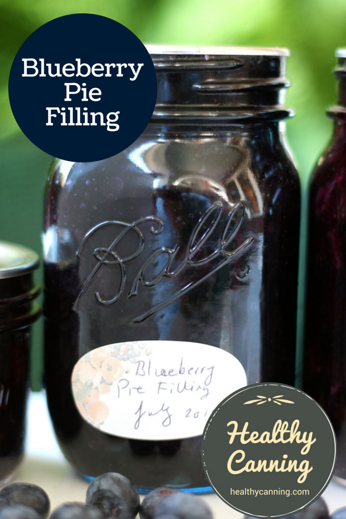 Blueberry Pie Filling 006