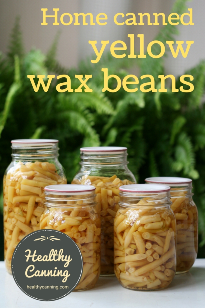 Yellow wax beans 009
