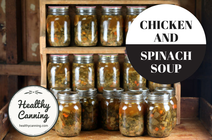 chicken and spinach soup 003